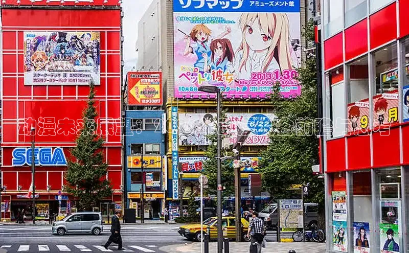赏金国际